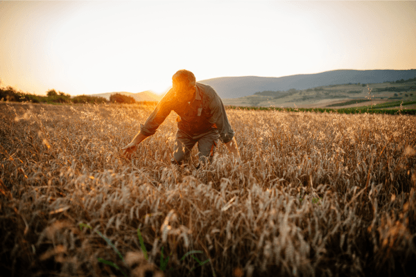 UK employers' Guide to the Seasonal Worker Visa